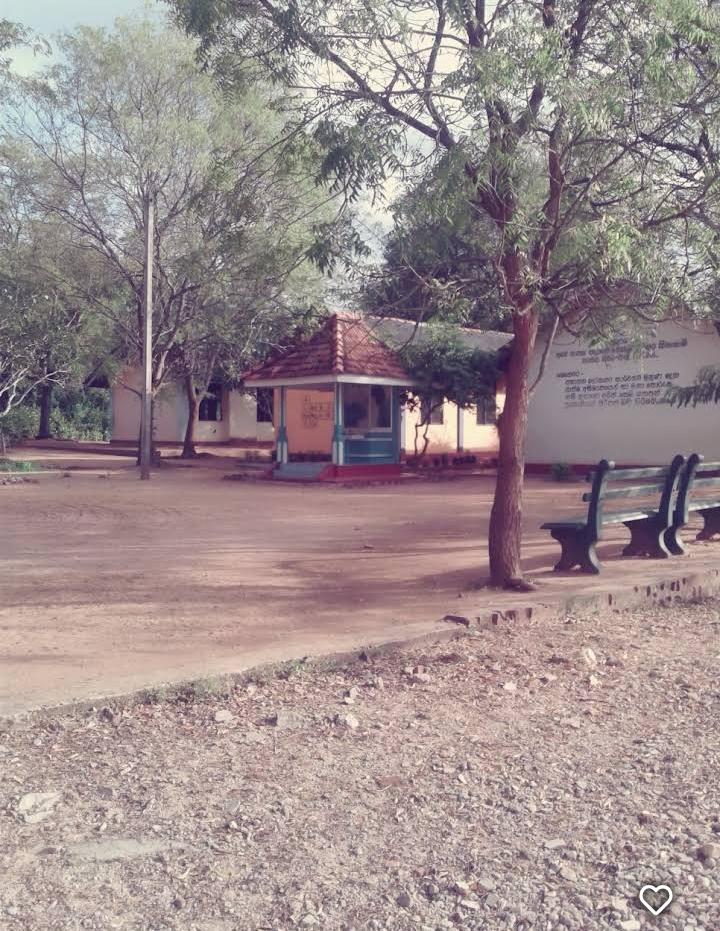 පාසලේ ඉතිහාසය