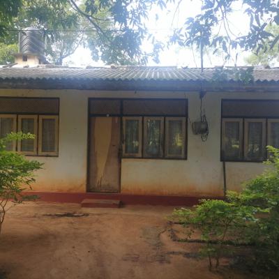 Whatsapp Image 2024 11 19 At 10.13.01 2329d74f